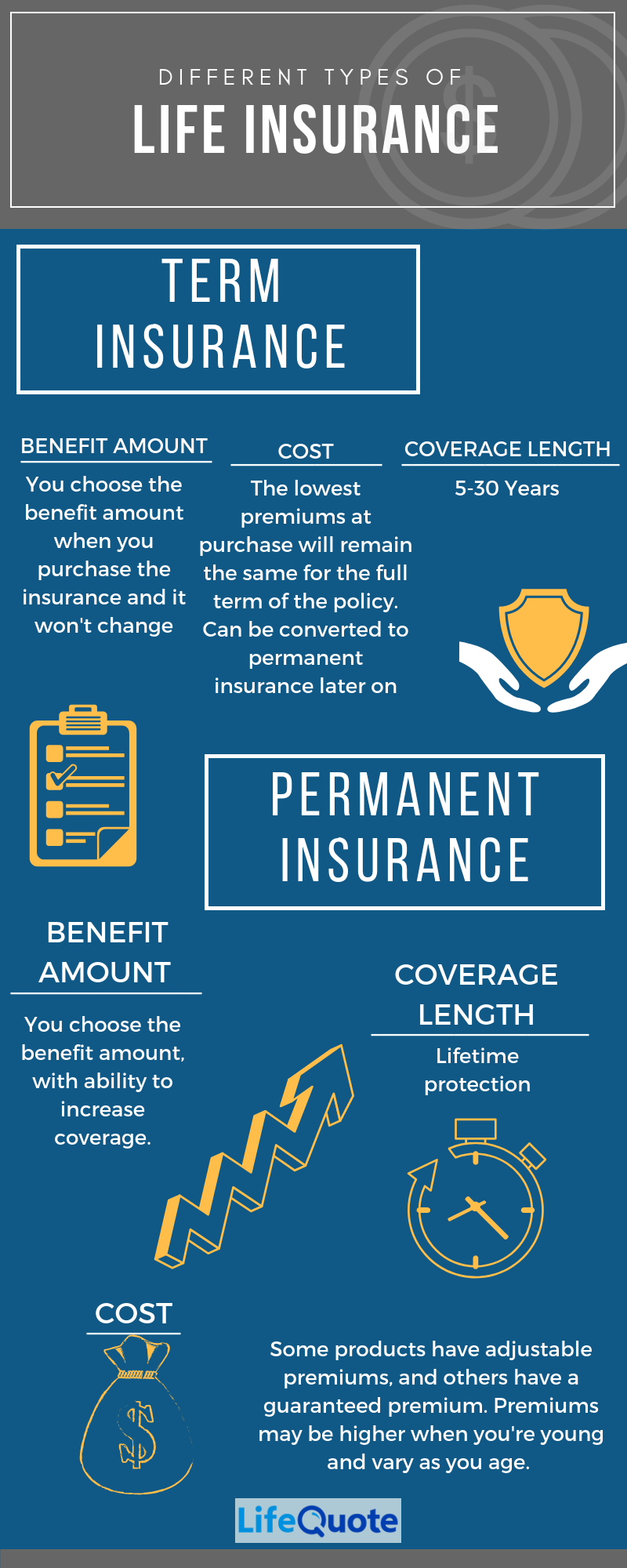 Infographic: Different Types of Life Insurance