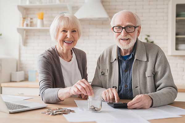 Happy senior couple analyzing their savings statements